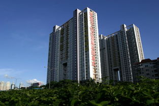 惠州市花樣年房地產(chǎn)開發(fā) 城市變遷的見證者與推動者